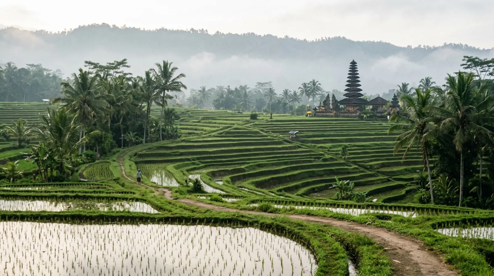Balinese rice terraces and a temple roof in the central hills